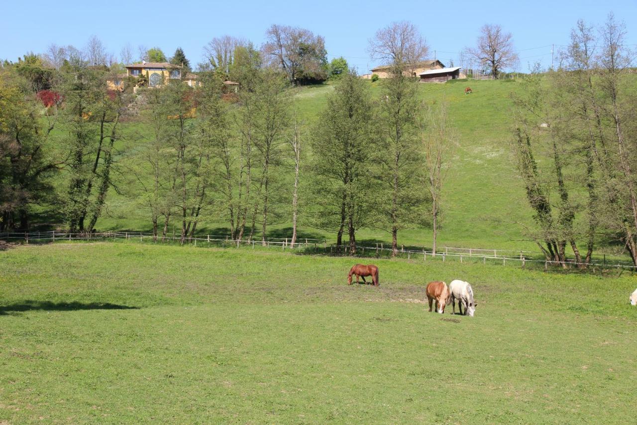 Le Vallon De Saint Andre Лімоне Екстер'єр фото